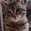 Grace Nadine - @grace.nadine1 - TikTok
