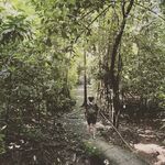 Nadine Gross - @reisetage_buch - Instagram