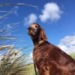 Nadine Knipping - @julia.nadine.knipping - Instagram