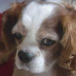 Nadine Lambert - @nadine.lambert.75 - Instagram