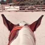 Nadine Lambert - @nadinelambert5812 - Instagram