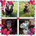 Nadine Maynard - Facebook