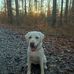 Nadine Neff - Facebook