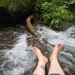 Nadine Phillips - @sonic_lotus - Instagram