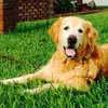 Nadine Shaffer Smith - @2184915507 - TikTok
