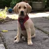 Nadine Stuart - @nadine.stuart2 - TikTok