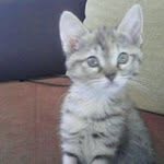 Nadine Waret - @nadinewaret - Instagram