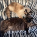 Nadine Weaver - @nadineweaver - Instagram