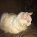Nadine Weaver - Facebook
