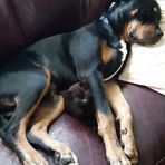 Nadine Weems - Facebook