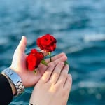 Nafees Alam - @nafiss_alam - Instagram