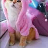 nafeesatsaeed - @nafeesatsaeed - TikTok