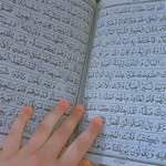 🫀نفیسہ نفیسہ 🕊️❤️ - @nafisabanu16 - Instagram