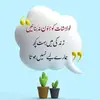 nafisabilal2 - @nafisabilal2 - TikTok