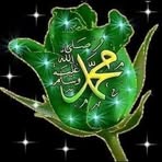 Nagat Elsayed - Facebook