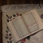 Nagat Elsayed - @nagat_elsayd - Instagram