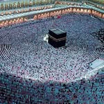 Nagat Elsayed - @nagatelsayed070 - Instagram