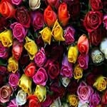 Naghma Ali - @naghma.ali.10 - Instagram