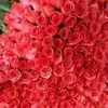 Naghma Ali - @naghmaali24 - TikTok