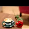 khalilnagi - @khalil.nagi - TikTok