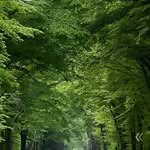 Nagi Kumar - @nagigaming8 - Instagram