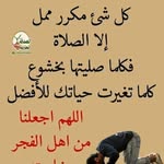 Nagi Mohammed - @nagi3048 - Instagram
