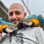 Nagy Péter - @peter_nagy_wildlifephotography - Instagram