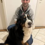 Nagy Peter - Facebook