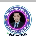 Nagy Soliman - @nagysleman - Instagram