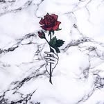 no - @nah___nope___no - Instagram