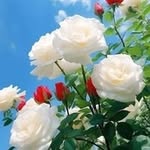 Nahar Hasan - @naharhsan8o - Instagram