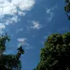 nahar hasan - @nahar.hasan0 - TikTok
