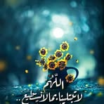 Nahed Amin - Facebook