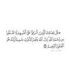 Nahed Amin - @nahedamin4 - TikTok