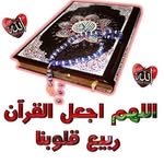 Nahed Eid - @nahed_eid_ - Instagram