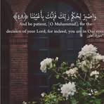 Nahed Eid - Facebook