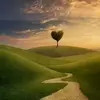 Nahed Eid - @nahed.eid2 - TikTok