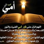 Nahed Abd El Halim - @nahedabdelhalim - Instagram