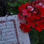 Nahed Abdulhalim - @nahedabdulhalim - Instagram