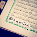 Nahed Halim - @nahed_halim5 - Instagram