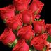 Naheed Halla - Facebook