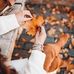 Nahed Hamdi - Facebook