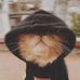 Nahed Hamdi - Facebook