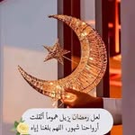 Nahed Hammad - @nahed.hammad65 - Instagram