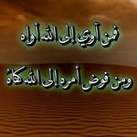 ناهد كامل - @_nahed_kamel - Instagram