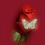 @nahed_kamel - Instagram