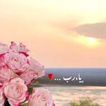 Nahed Kamel - @nahdkaml0 - Instagram