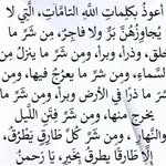 Nahed Kamel - @nahedkamel - Instagram
