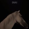 Naheda Khader - @nahedakhader8 - TikTok