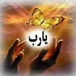 Nahed mohamed - @nahed.mohamed.1656 - Instagram